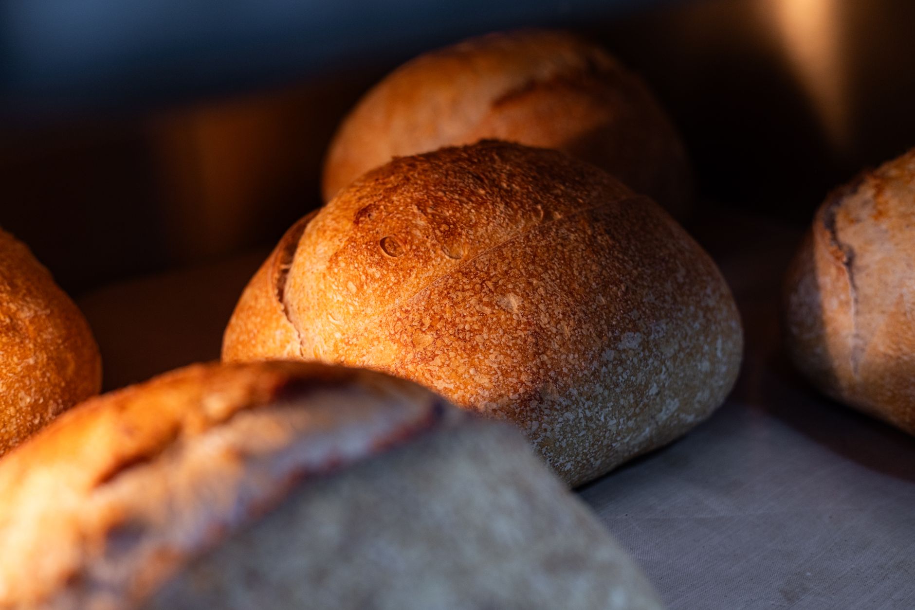 Rows of sourdough loaves with blistered crusts on the bakery counter